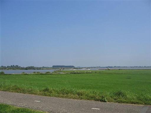 IMG_1194.jpg